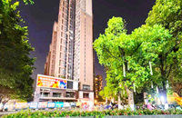 布吉南嶺幸福城30wl輕松做房東